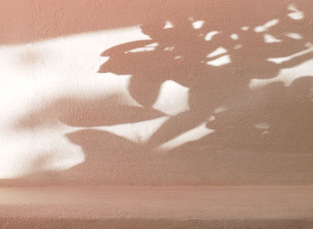 Nature leaves shadow on rough concrete wall, overlay effect for photo, mock up, product, wall art, design presentationの写真素材