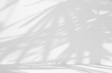 Nature leaves shadow on rough concrete wall, overlay effect for photo, mock up, product, wall art, design presentationの写真素材