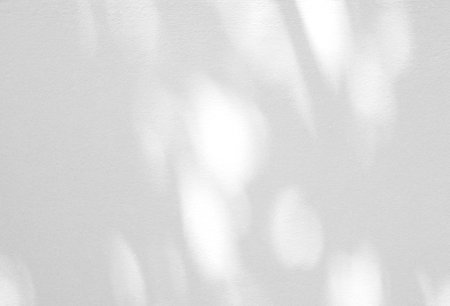 Leaf shadow and light from sunlight dappled on white concrete wall background.