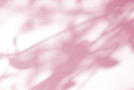 Natural leaves shadow in color of the year 2023 Viva Magenta. Tropical leaves shadow on the white wall background. Shadow overlay effect for photo, mock up, product, wall art, design presentationの写真素材