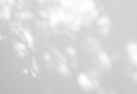 Natural leaf shadow and light from sunlight dappled on white concrete wall background.