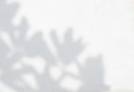Abstract background. Shadow of leaves on a white wall. Monochrome.の写真素材