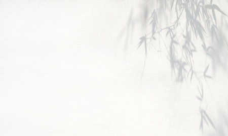 Shadow of leaves on a white wall. Abstract background. Copy space.の写真素材