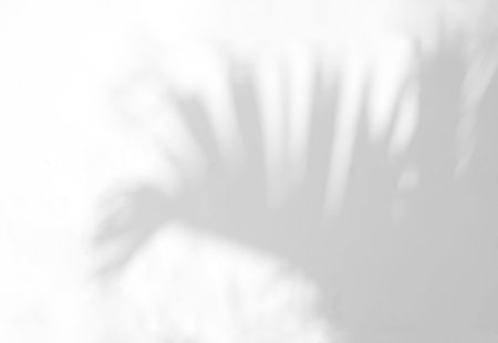 Shadow overlay effect for photo and mockup. Black and white.の写真素材