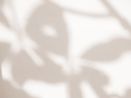 Natural shadow of leaves on cement background, overlay effect for photo, mock up, product, wall art, design presentationの写真素材
