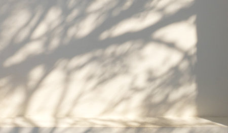 Tree shadow on concrete wall texture background for product display, design presentation backdrop,  and mock up.の写真素材