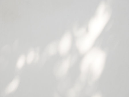 Abstract shadow of leaves on a white wall, overlay effect for photo, mock up, product, wall art, design presentationの写真素材