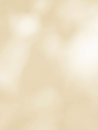 Leaf shadow and light on beige wall, overlay effect for photo, mock up, product, wall art, design presentationの写真素材