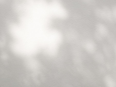 Abstract shadow of leaves on a white wall, overlay effect for photo, mock up, product, wall art, design presentationの写真素材