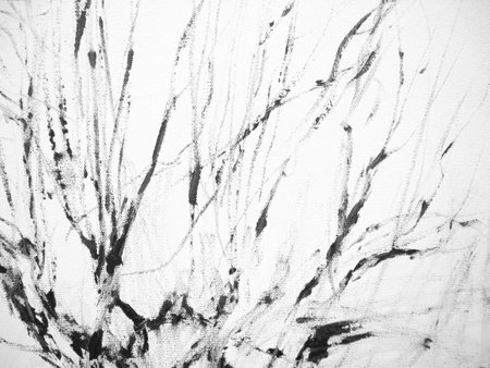 Abstract ink background. Black ink brush painting splash on white canvas background.の写真素材