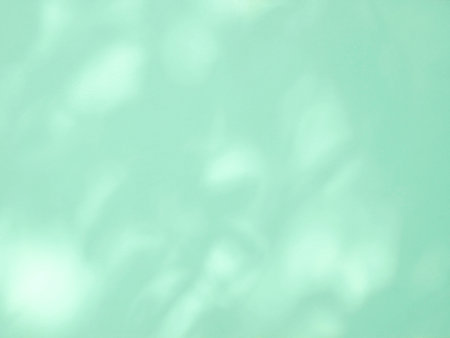 Leaf shadow and light on a green concrete wall, overlay effect for photo, mock up, product, wall art, design presentationの写真素材
