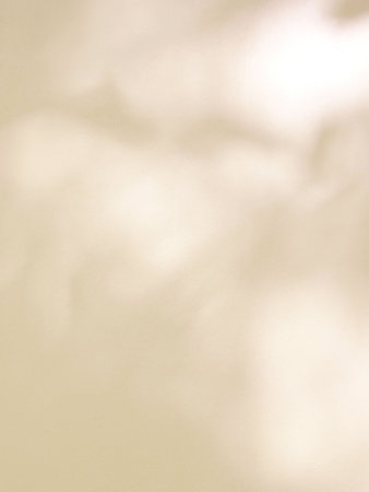 Leaf shadow and light on concrete wall, overlay effect for photo, mock up, product, wall art, design presentationの写真素材