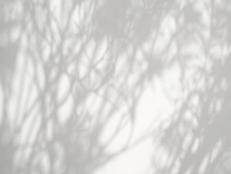 Leaf shadow and light on white concrete wall, overlay effect for photo, mock up, product, wall art, design presentationの写真素材