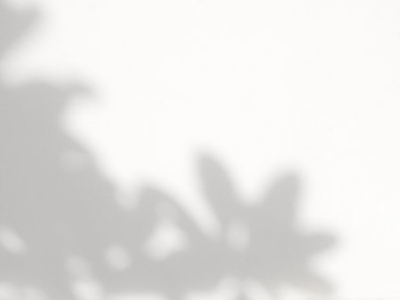 Shadow of natural leaves overlay effect for photo, mock up, product, wall art, design presentationの写真素材