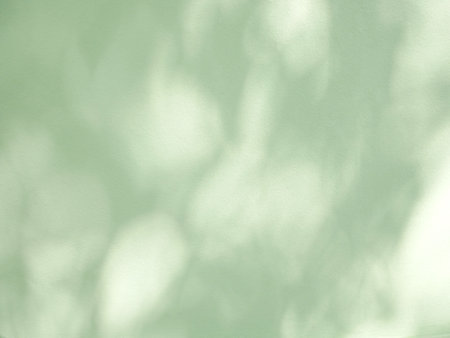 Leaf shadow and light on a green concrete wall, overlay effect for photo, mock up, product, wall art, design presentationの写真素材