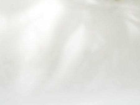 Abstract shadow of leaves on a white wall, overlay effect for photo, mock up, product, wall art, design presentationの写真素材