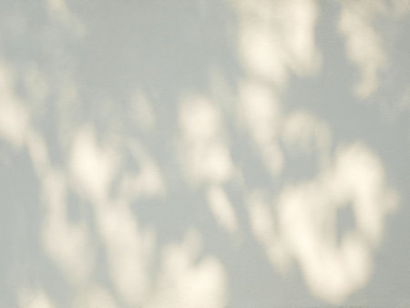 Leaf shadow and light on concrete wall, overlay effect for photo, product, wall art, design presentation backgroundの写真素材