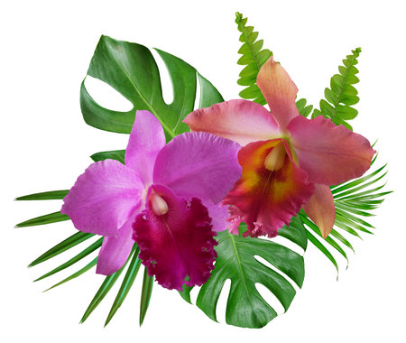 Orchid flowers and leaves isolated on white background. Flower arrangement. Floral design.の写真素材