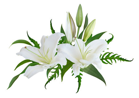 White Lily flower bouquet isolated on white backgroundの写真素材