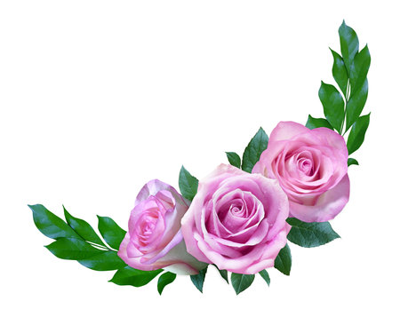 Pink rose flowers frame for wedding invitation or greeting card isolated on white backgroundの写真素材