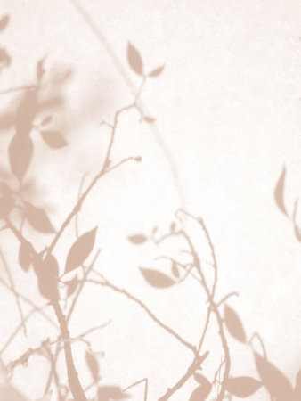 Shadow of leaves in warm autumn colors on concrete wall texture background, overlay effect for photo, mock up, product, wall art, design presentationの写真素材