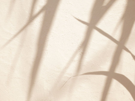 Shadow of leaves in warm autumn colors on concrete wall texture background, overlay effect for photo, mock up, product, wall art, design presentationの写真素材