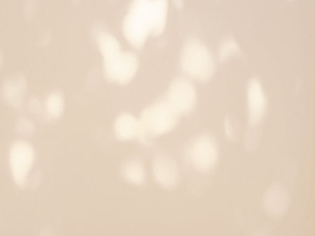 Abstract shadow of leaves on beige color wall background, overlay effect for photo, mock up, product, wall art, design presentationの写真素材