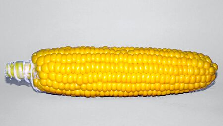 Yellow corn Isolated on white backgroundの写真素材