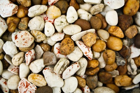 P ebble stone, my garden