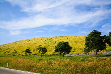 Khao Yai Tieng,Thailandの写真素材