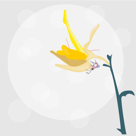 Beautiful yellow flower vectorのイラスト素材