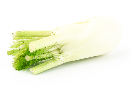 Fresh fennel on white backgroundの写真素材