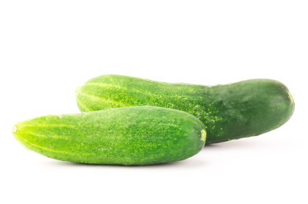 Fresh cucumber on white backgroundの写真素材