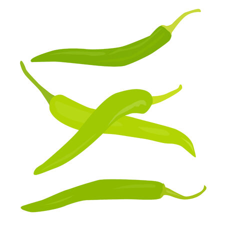 Green chili vectorのイラスト素材