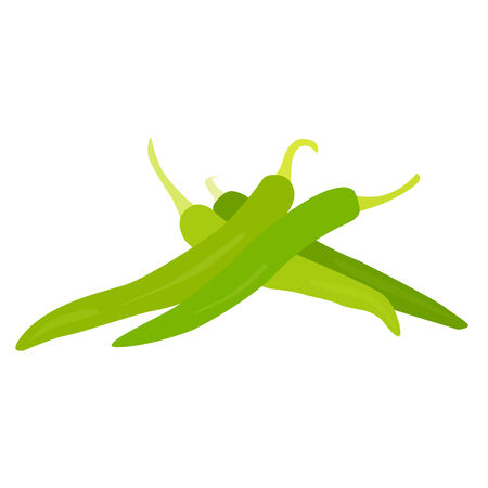 Green chili vectorのイラスト素材