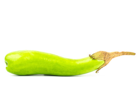 Fresh eggplant on white backgroundの写真素材