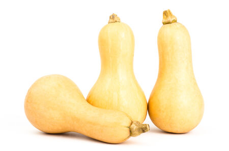 Butternut squash on white backgroundの写真素材