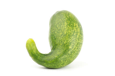 Fresh organic cucumber on white backgroundの写真素材