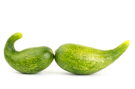 Fresh organic cucumber on white backgroundの写真素材