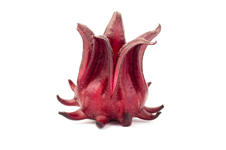 Fresh roselle on white backgroundの写真素材