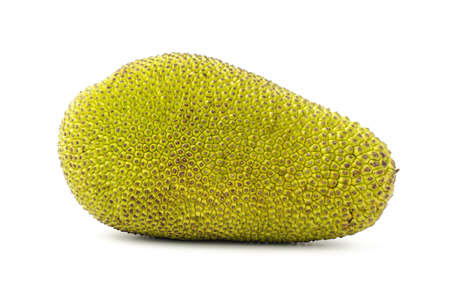 Raw jackfruit on white background