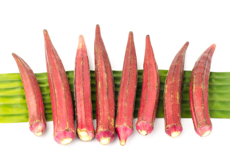 Red okra with bana leave on white backgroundの写真素材