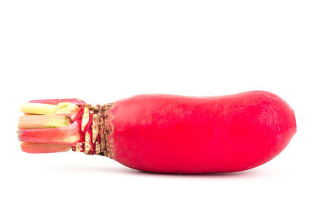 Red radish on white background