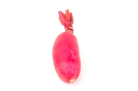 Red radish on white backgroundの写真素材