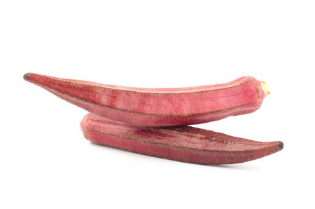 Red okra on white backgroundの写真素材