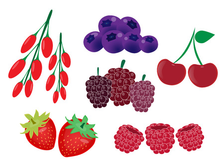 Healthy food,berry fruits vector setのイラスト素材