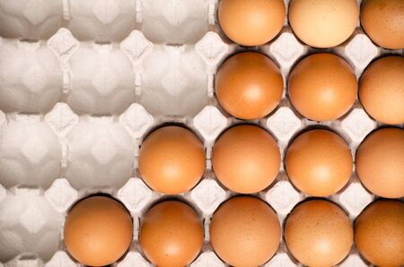 Fresh eggs arranged in panels eggs