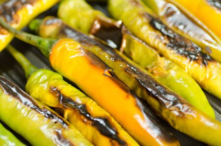 Grilled pepper on the griddleの写真素材