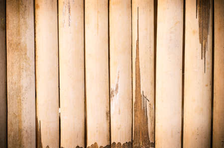Close up the texture of old bamboo,backgroundの写真素材
