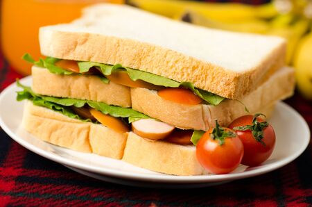 Breakfast,sausage,lettuce and tomatoes sandwich on white plateの写真素材